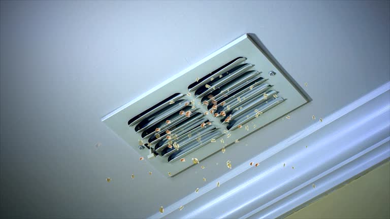 Best Professional Duct Cleaning Services  in Pen Mar, PA