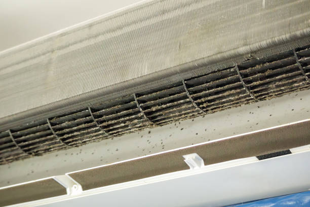 Best Air Vent Cleaning Services  in Pen Mar, PA